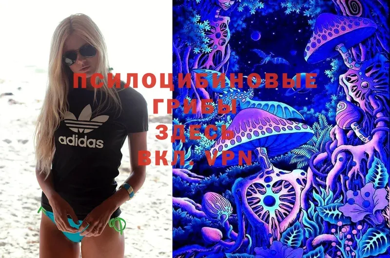 Галлюциногенные грибы Magic Shrooms  купить   Инза 